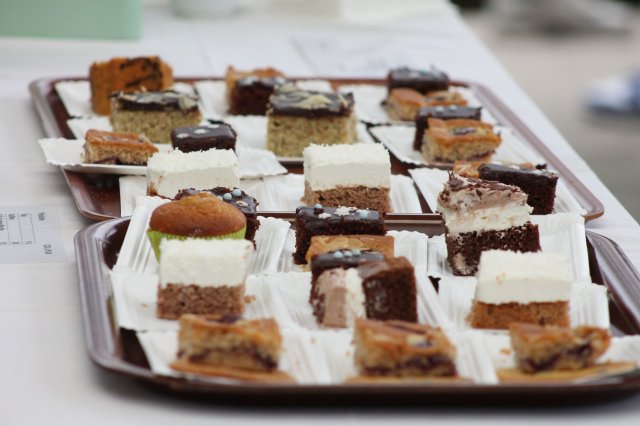 k-2024_crosscountry-land 19